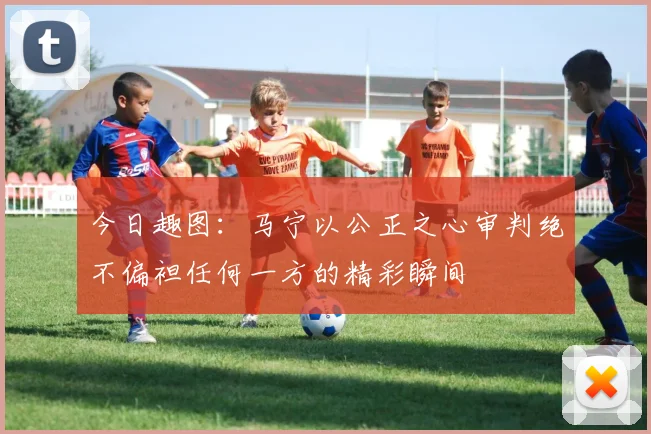 今日趣图：马宁以公正之心审判绝不偏袒任何一方的精彩瞬间