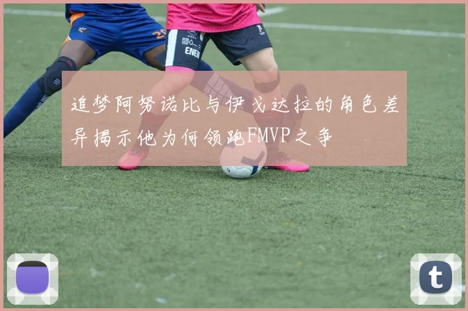 追梦阿努诺比与伊戈达拉的角色差异揭示他为何领跑FMVP之争